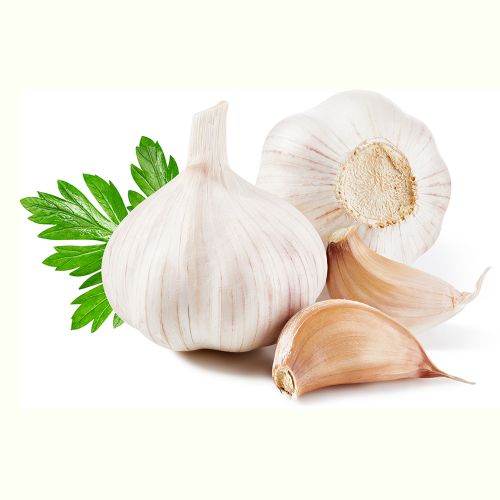 Garlic (lahsun)